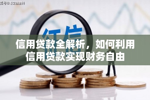 泗阳信用贷款全解析，如何利用信用贷款实现财务自由