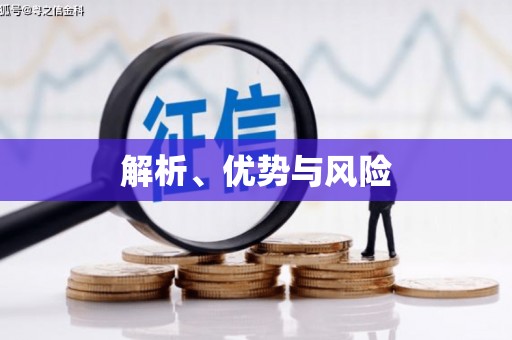 泗阳解析、优势与风险