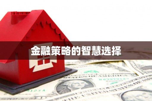 泗阳金融策略的智慧选择