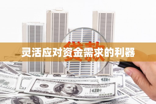 泗阳灵活应对资金需求的利器