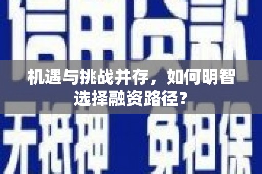泗阳机遇与挑战并存，如何明智选择融资路径？