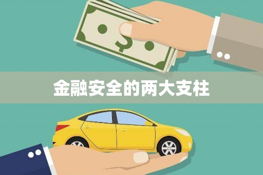 泗阳金融安全的两大支柱