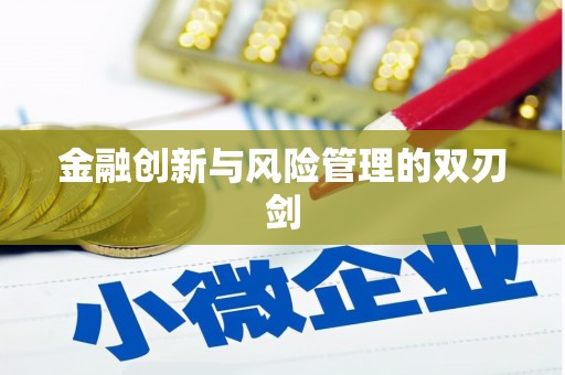 泗阳金融创新与风险管理的双刃剑