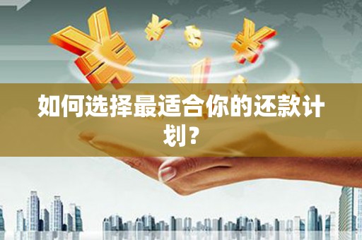 泗阳如何选择最适合你的还款计划？