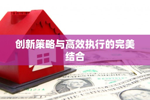 泗阳创新策略与高效执行的完美结合