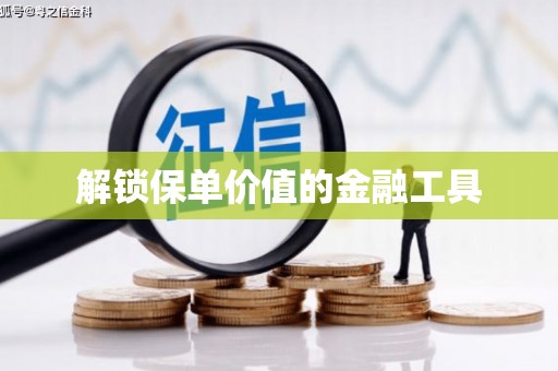 泗阳解锁保单价值的金融工具