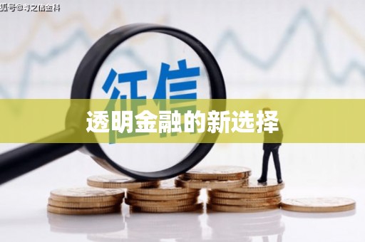 泗阳透明金融的新选择