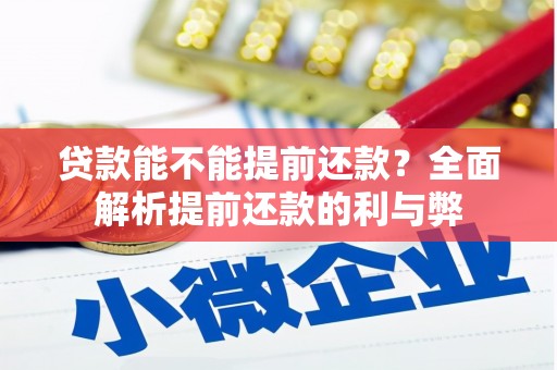 泗阳贷款能不能提前还款？全面解析提前还款的利与弊