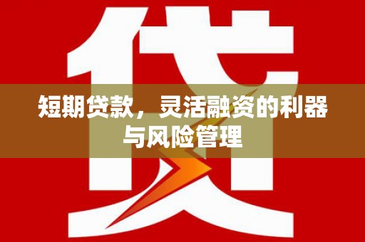 泗阳短期贷款，灵活融资的利器与风险管理