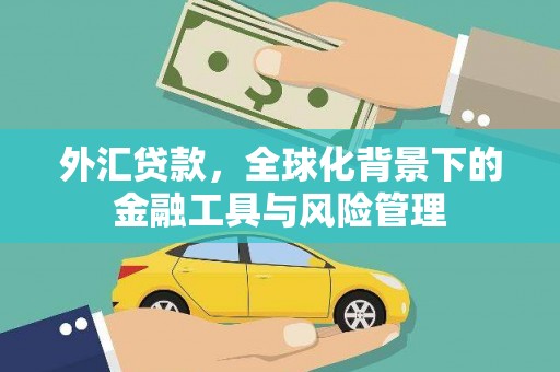 泗阳外汇贷款，全球化背景下的金融工具与风险管理