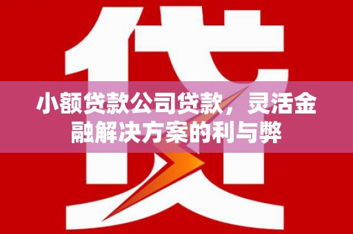 泗阳小额贷款公司贷款，灵活金融解决方案的利与弊