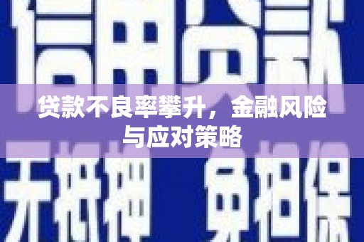 泗阳贷款不良率攀升，金融风险与应对策略