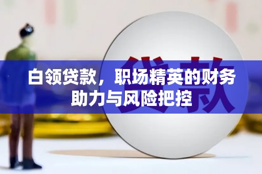 泗阳白领贷款，职场精英的财务助力与风险把控