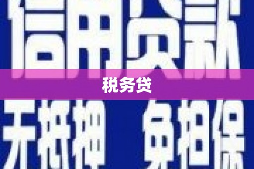 泗阳税务贷